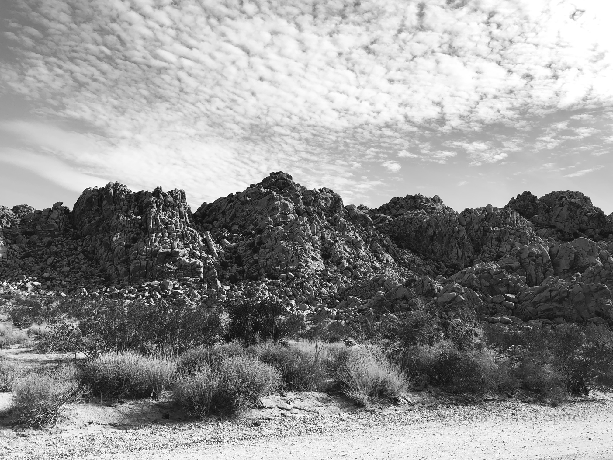 Anza Borrego