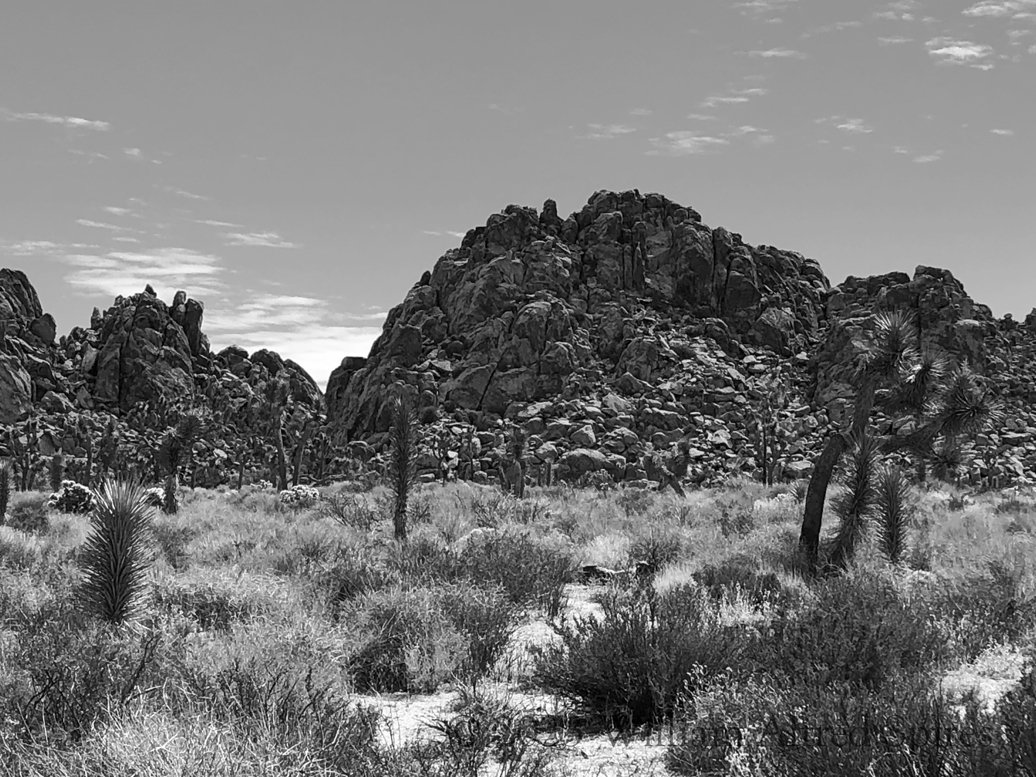 Anza Borrego